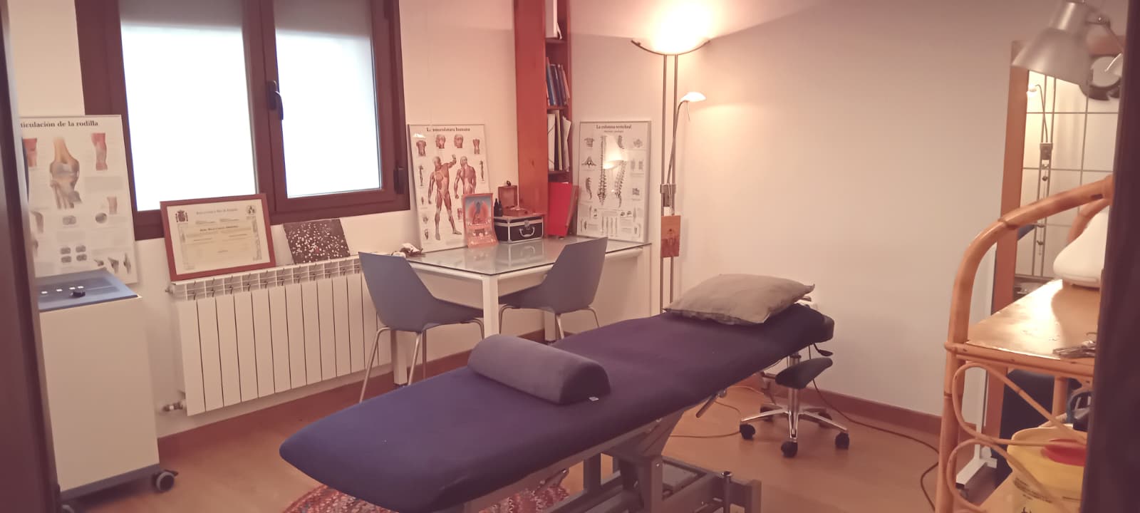 Fisioterapia y Osteopatía