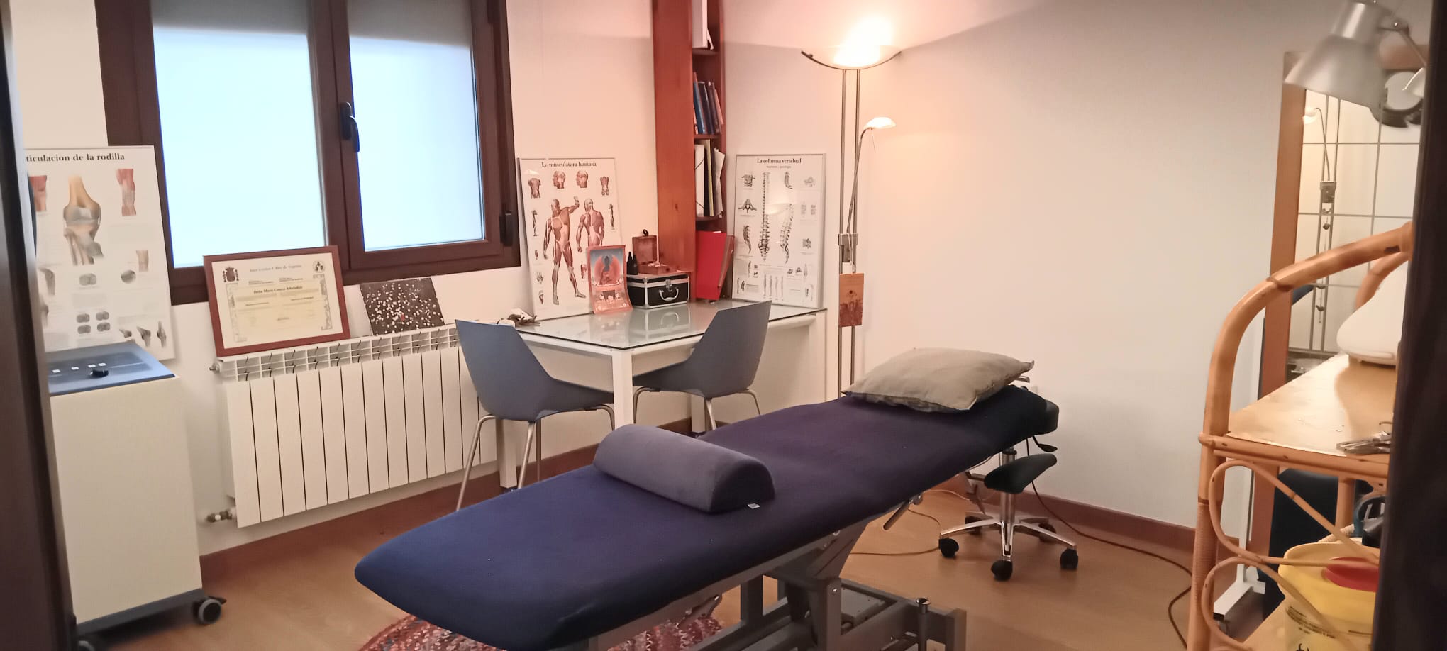 Fisioterapia y Osteopatía