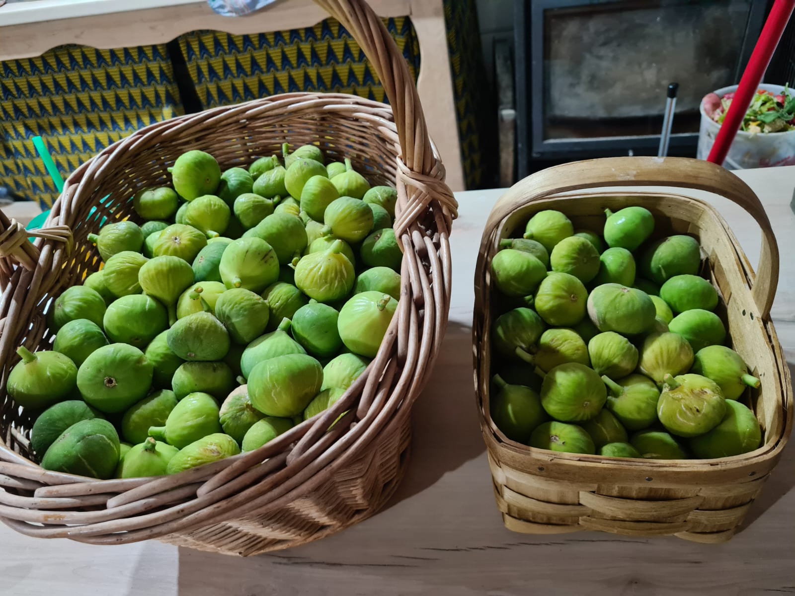 Galería de La casa de los colibrís