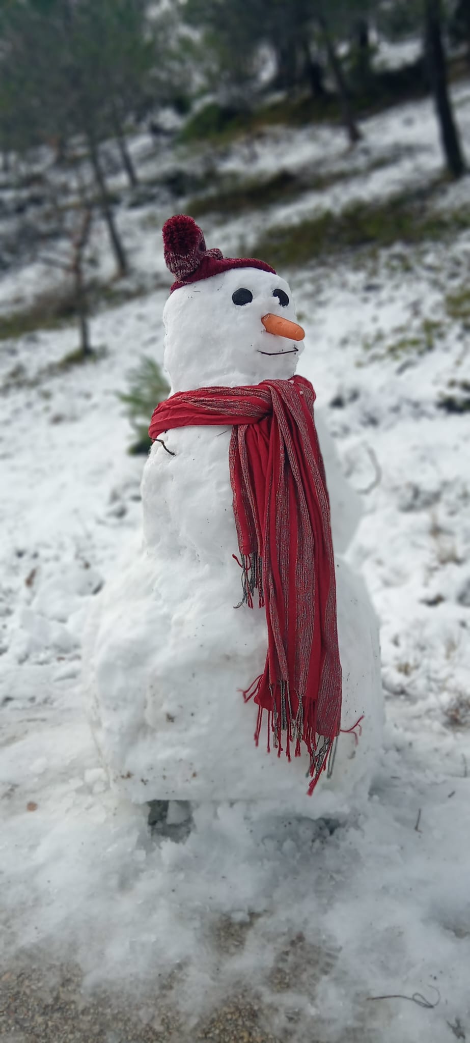 Galería de La casa de los colibrís