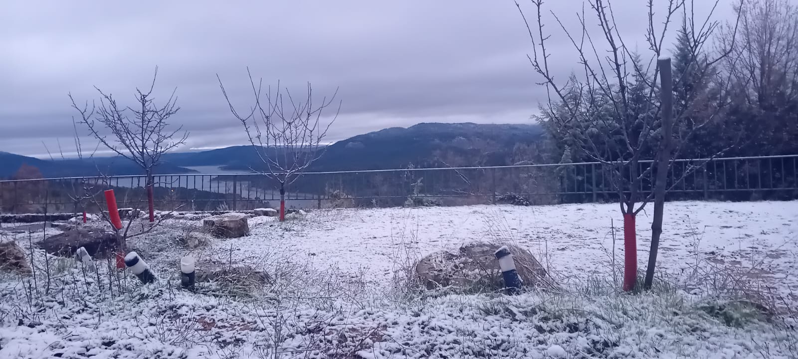 Galería de La casa de los colibrís