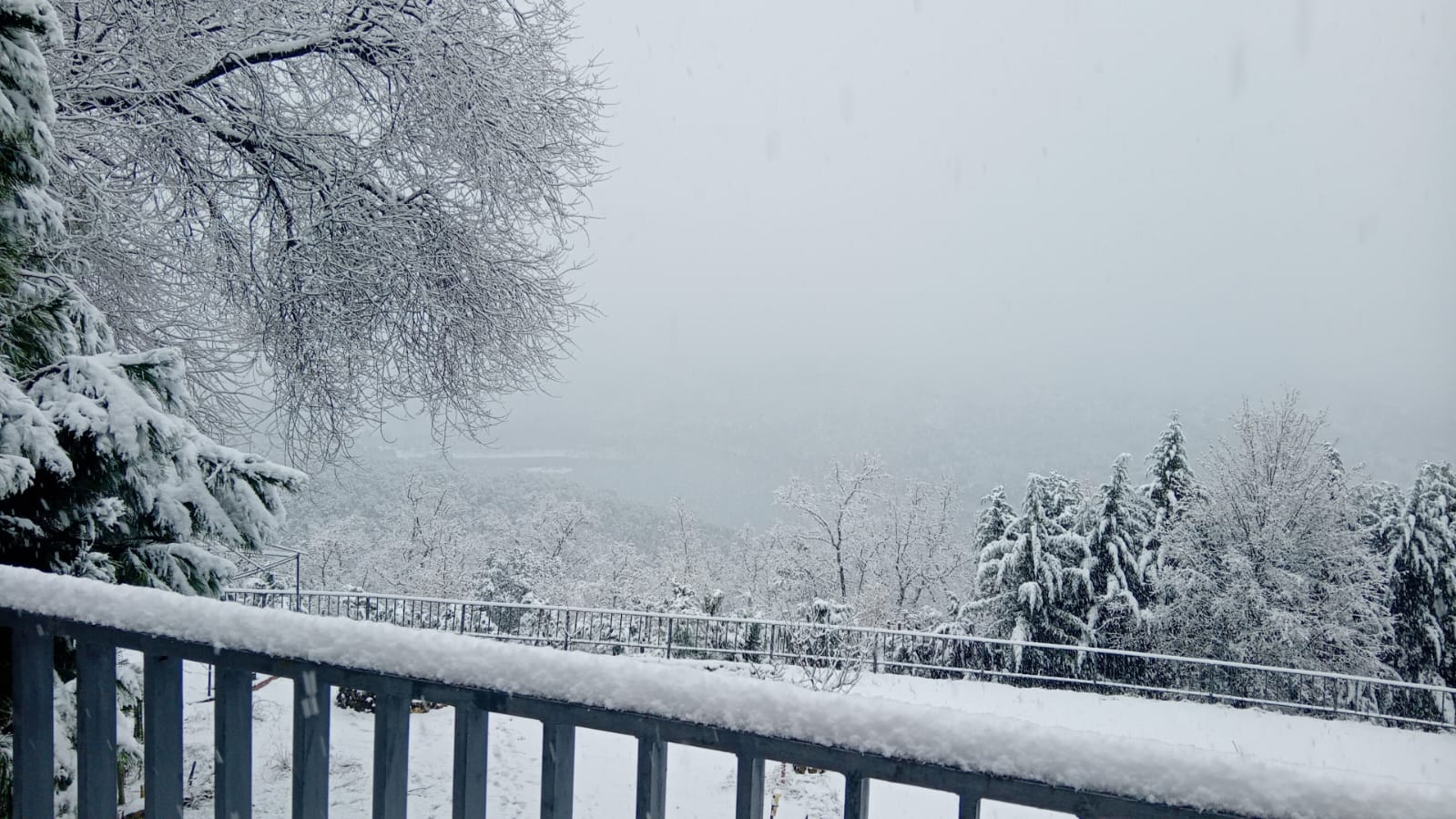 Galería de La casa de los colibrís